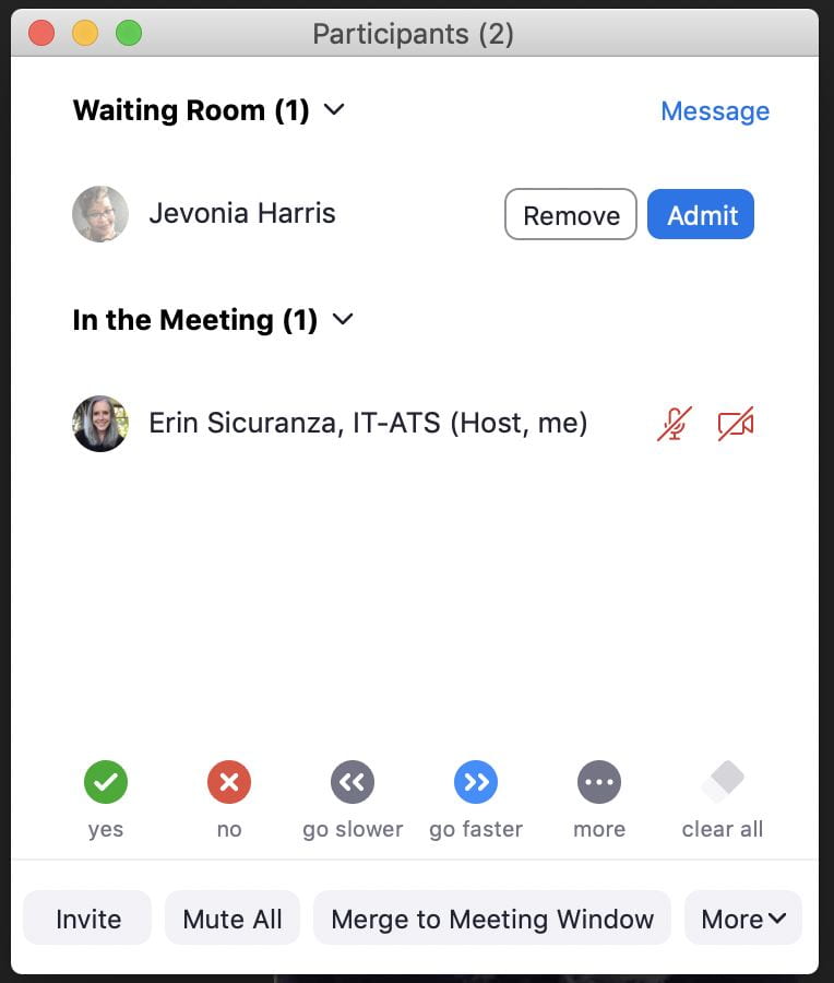 screenshot showing Zoom meeting participants list