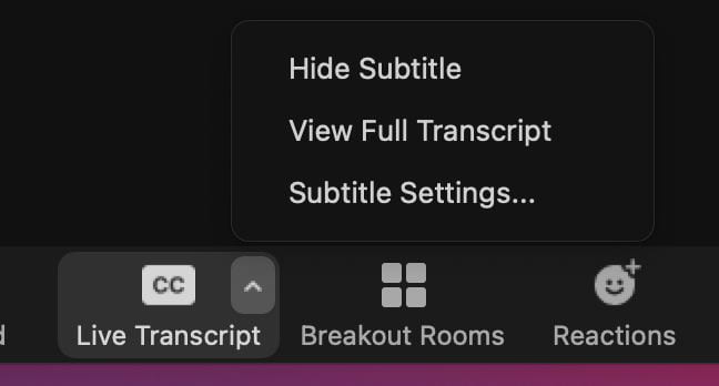 screenshot showing Zoom live transcript options menu