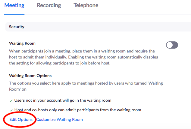 Edit Zoom Waiting Room Options